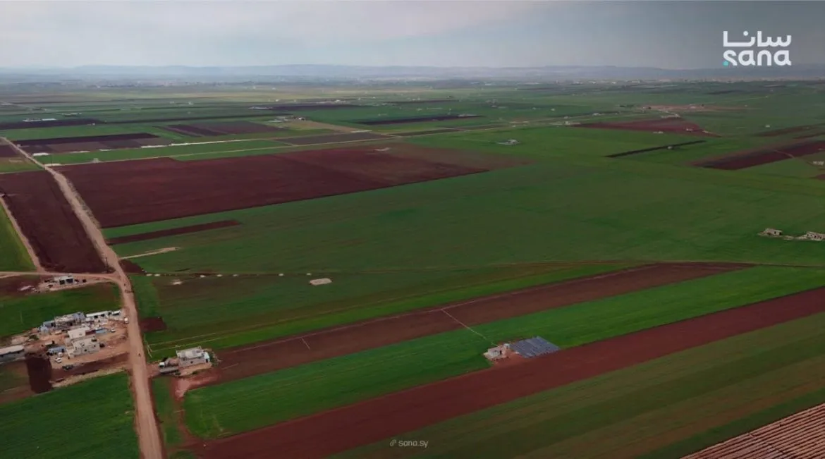 الوضع المتوتر بالمنطقة عم يزيد الضغط على الزراعة بسوريا
