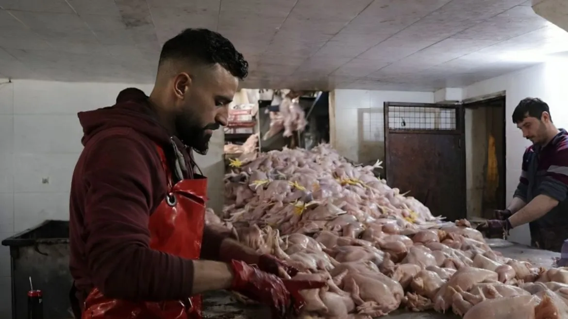 شو قصة الفروج التركي النافق اللي وصل على حلب؟