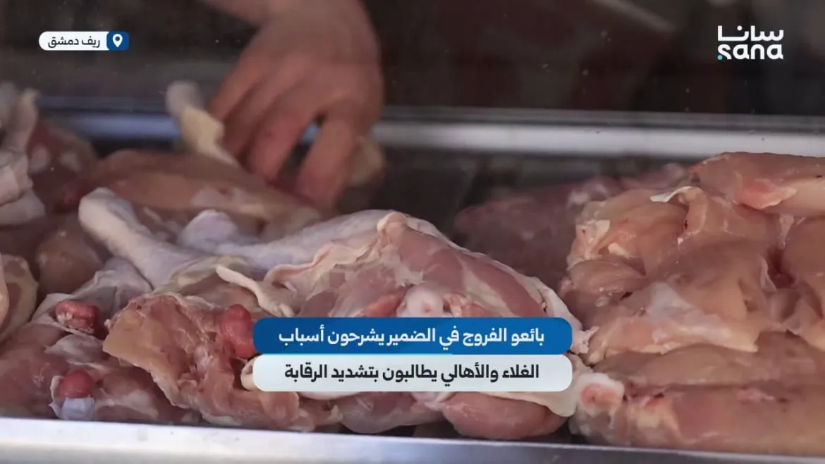 بياعين الفروج بالضمير بريف دمشق عم يشرحوا ليش الأسعار غالية.. والأهالي بدهن رقابة أكتر