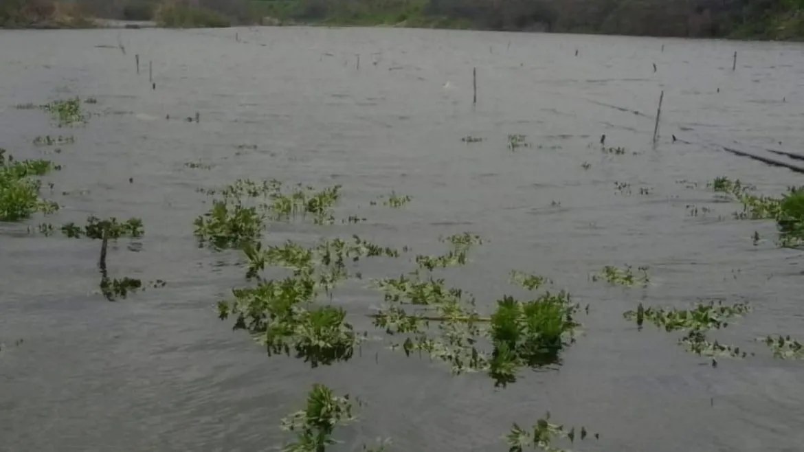 عاصفة قوية ضربت اللاذقية وعطلت محطات المي وتسببت بأضرار