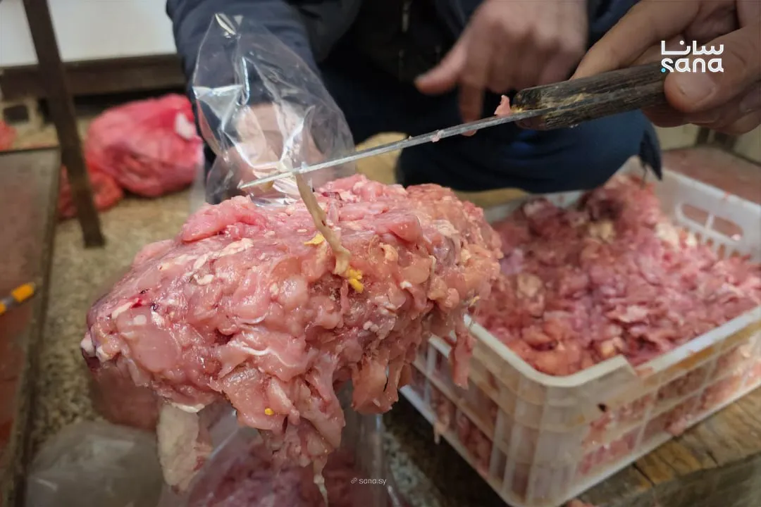 لقوا 50 كيلو نتر فروج مو صالح للأكل بريف دمشق