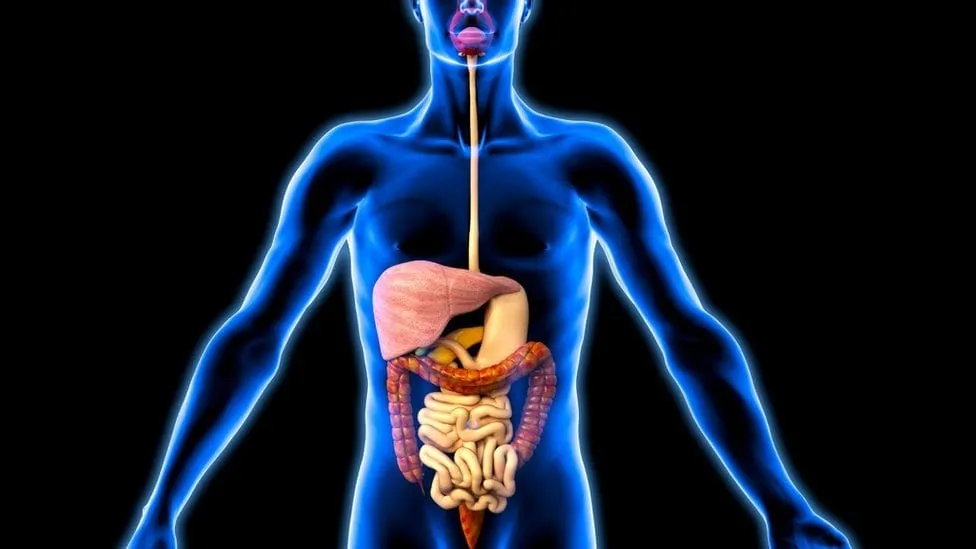 كيف نحمي معدتنا بعد صيام رمضان؟ نصائح مهمة لأيام العيد