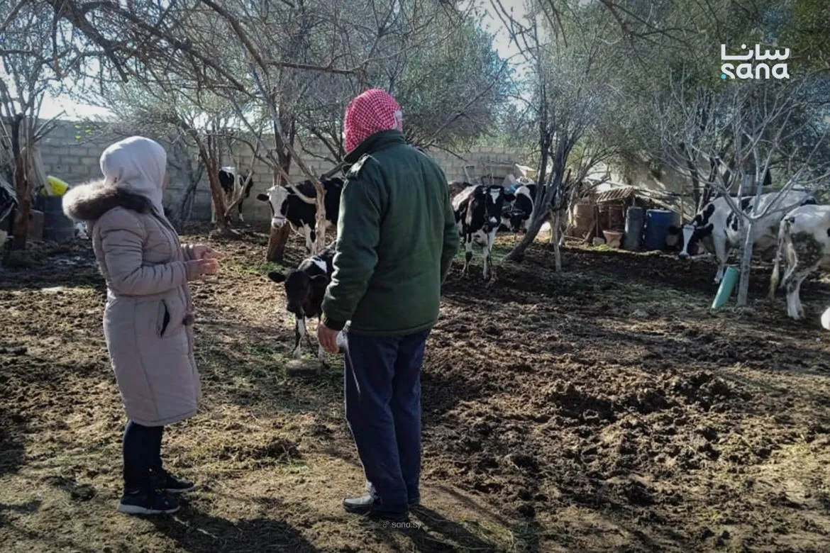زراعة دمشق وريفها: حملة إحصاء الثروة الحيوانية مستمرة
