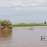 الحسكة: شتوة قوية بتنعش الأرض والمي الجوفية بس بتكشف ضعف البنية التحتية