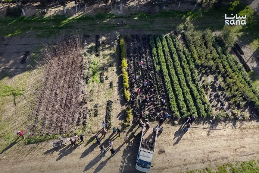 هيئة الغاب: جهود كبيرة لدعم الزراعة وتعزيز صمود الفلاحين بحماة